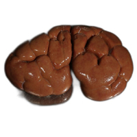 KIDNEY