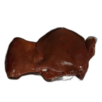 LIVER